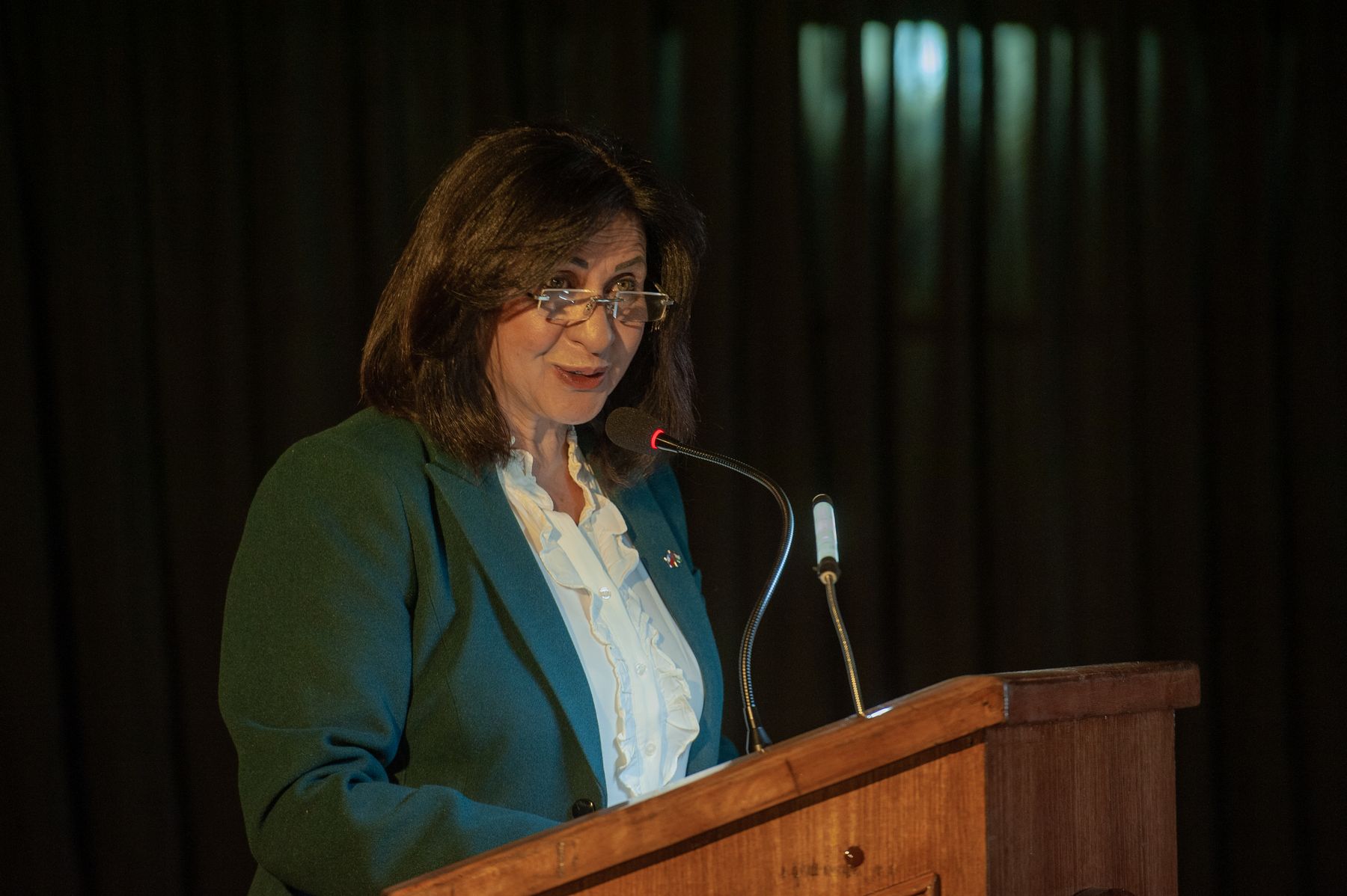 La embajadora Vera Baboun habla en el podio